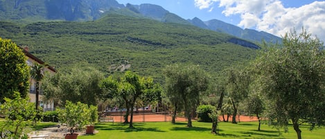 A lush green lawn with potted plants and outdoor furniture, surrounded by trees and mountains in the background.