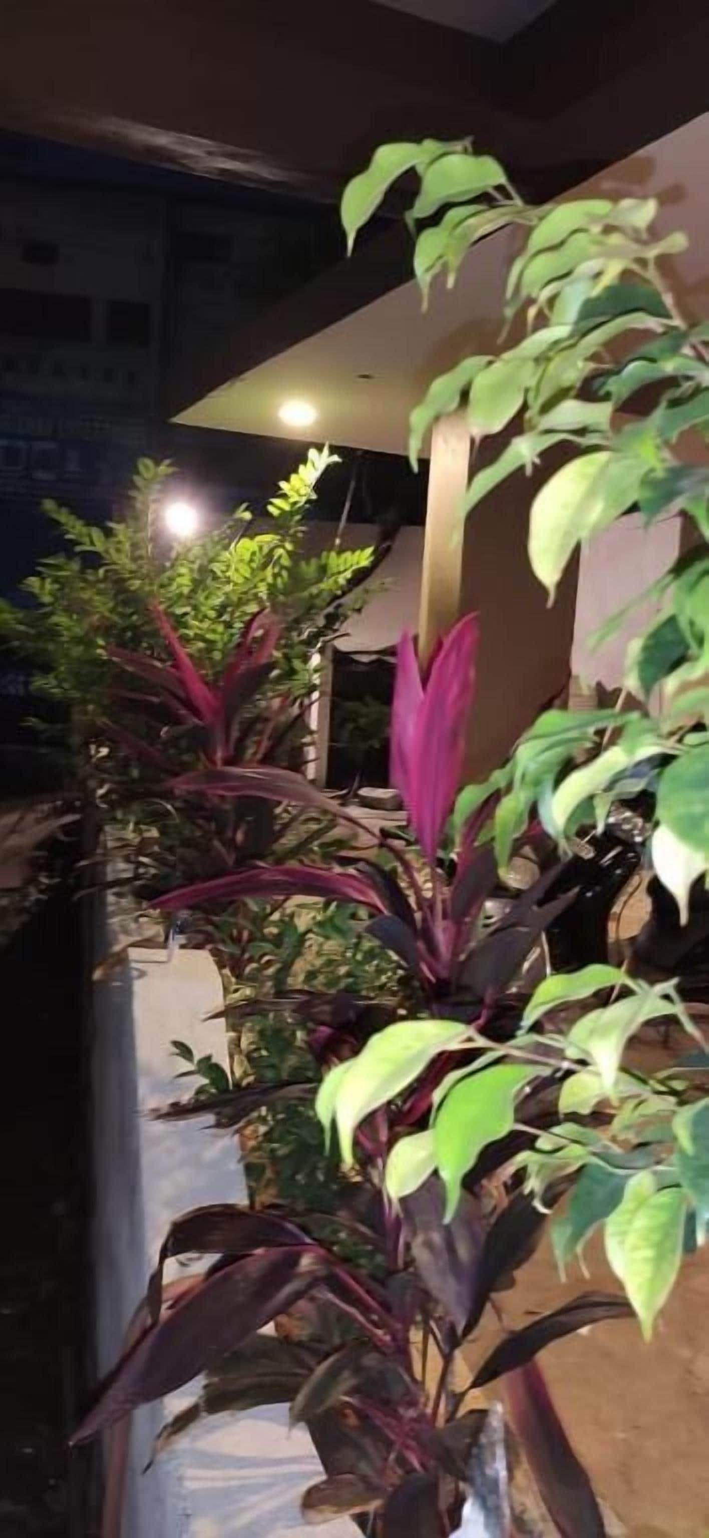 Foto - New Hotel Suhail