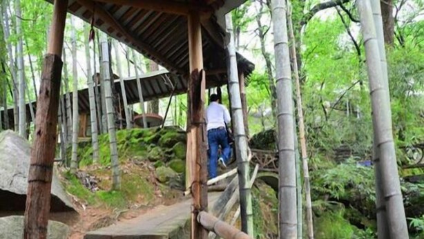 A wooden bridge with stone steps leading through a bamboo forest. - Hongyezhai Ecological Leisure Villa (Hengyang)