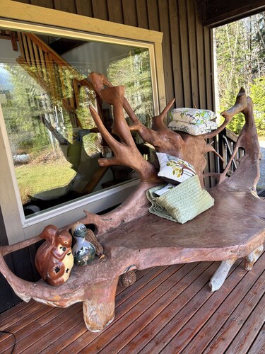 Ashford cabin,Mt. Rainier view. Private river access, 17 acres, 5 mi to MRNP