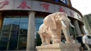 A building with a large elephant statue in front. - Nancha Hotel (Nancha County)