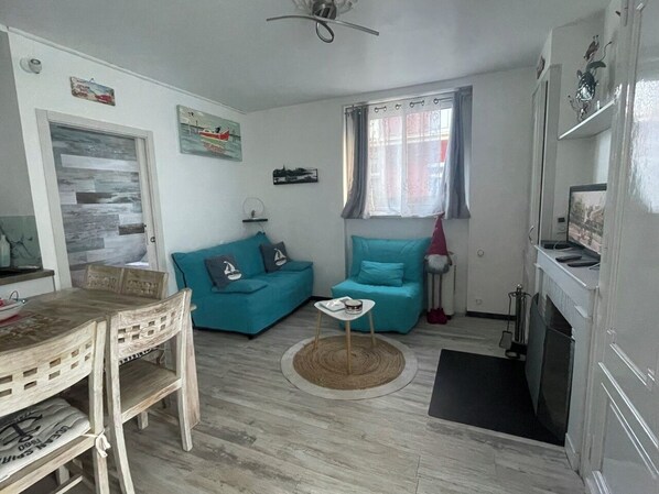 TV, lareira, DVD player, livros