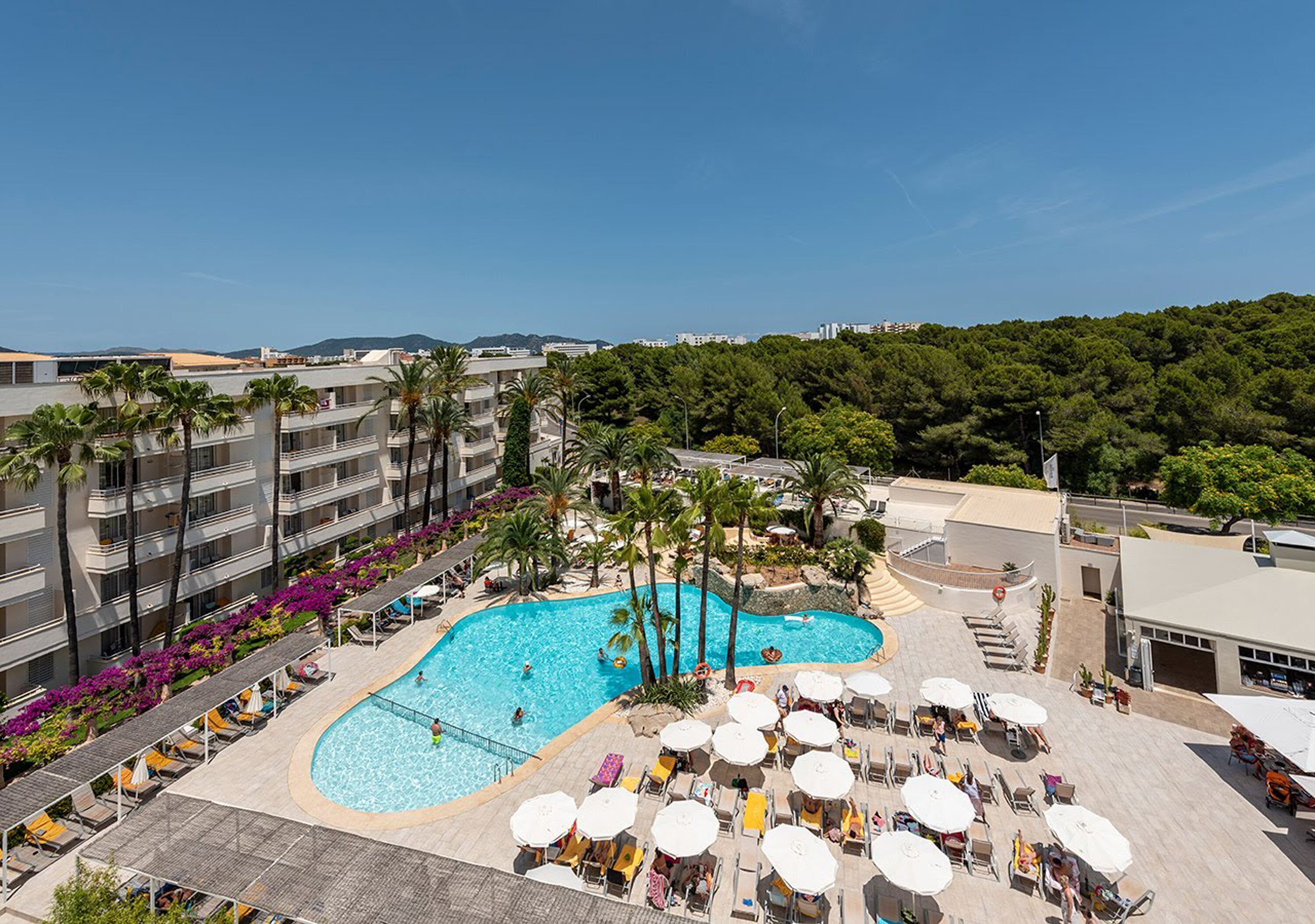 Foto - Hotel Rosella affiliated by Intelier