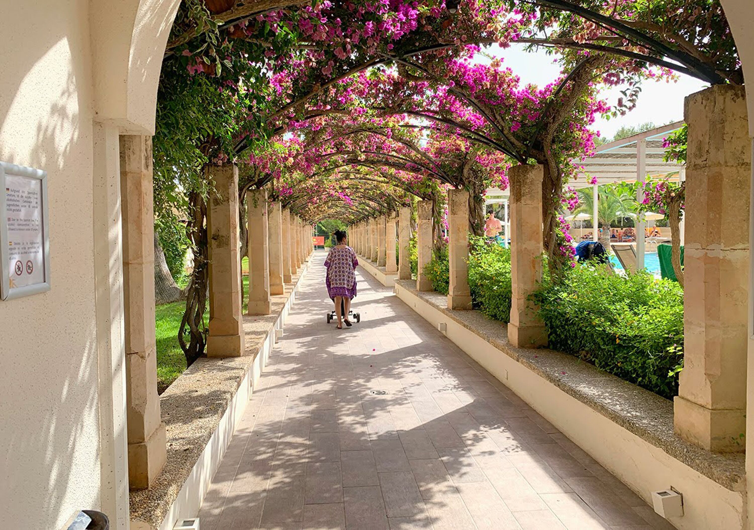 Foto - Hotel Rosella affiliated by Intelier