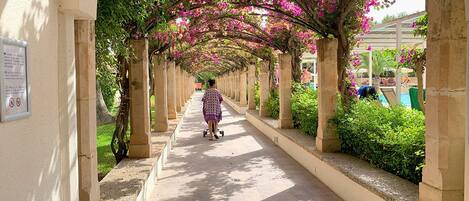 A corridor with a covered walkway, columns, and flowering plants.