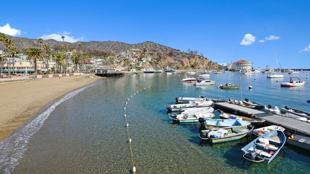 A coastal marina with boats docked, a sandy beach, and buildings in the background.