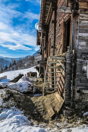 Exterior - Romantic chalet with a breathtaking view (Bettmeralp)