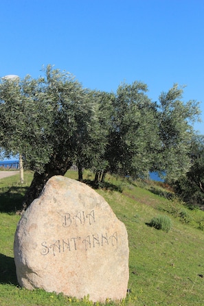 Parco della struttura