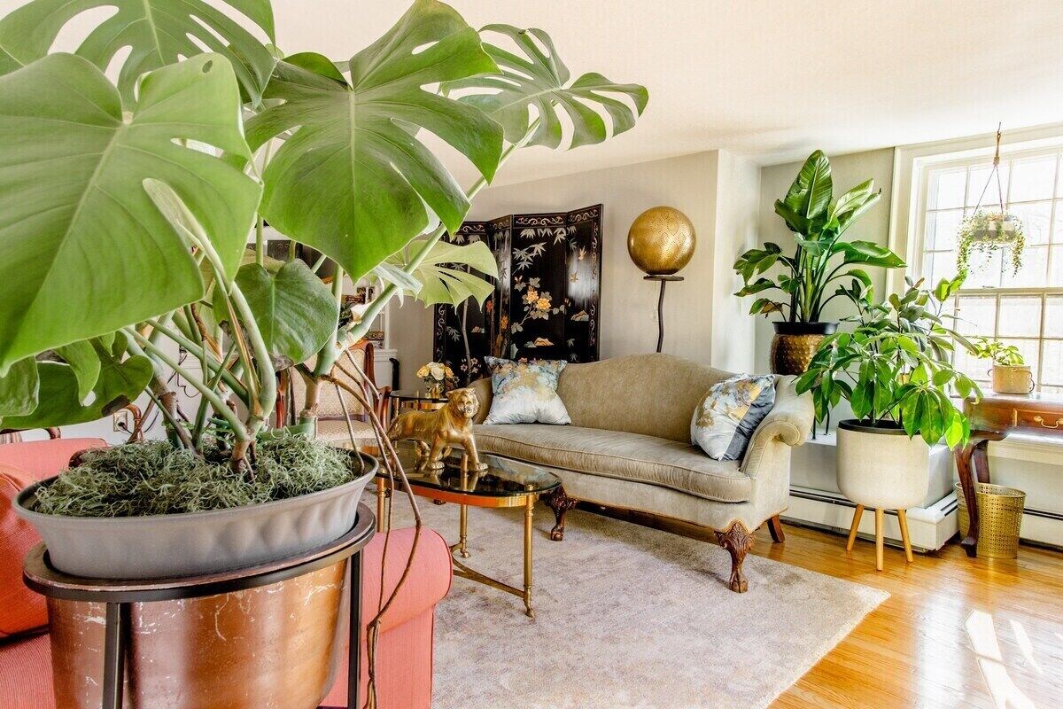 Image de profil de l’hôte