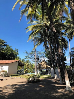 Área da propriedade