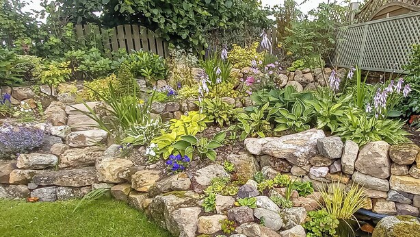 A garden with a stone wall, various plants, and a wooden fence. - 3 bedroom accommodation in Biggar (Biggar)