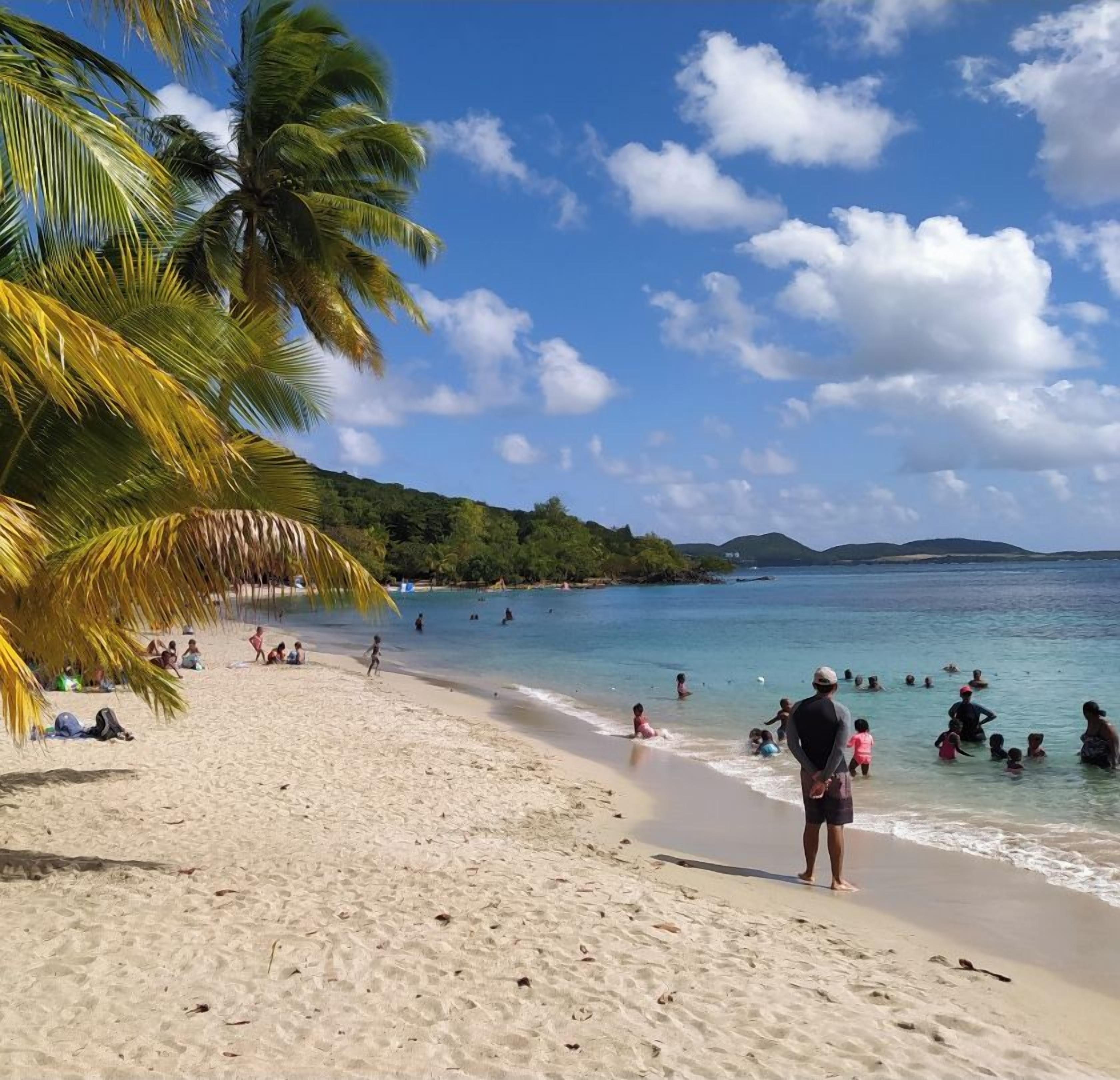 Une plage bordée de palmiers, des gens qui se baignent et un ciel dégagé.