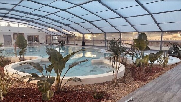 A greenhouse with a pool, surrounded by tropical plants and a wooden deck.
