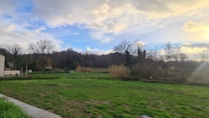 Un campo cubierto de hierba con un edificio blanco, árboles y una cerca.
