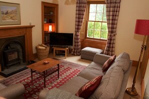 TV, fireplace, books