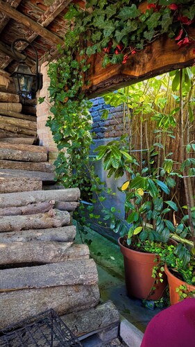 Between town & country (garden with river)