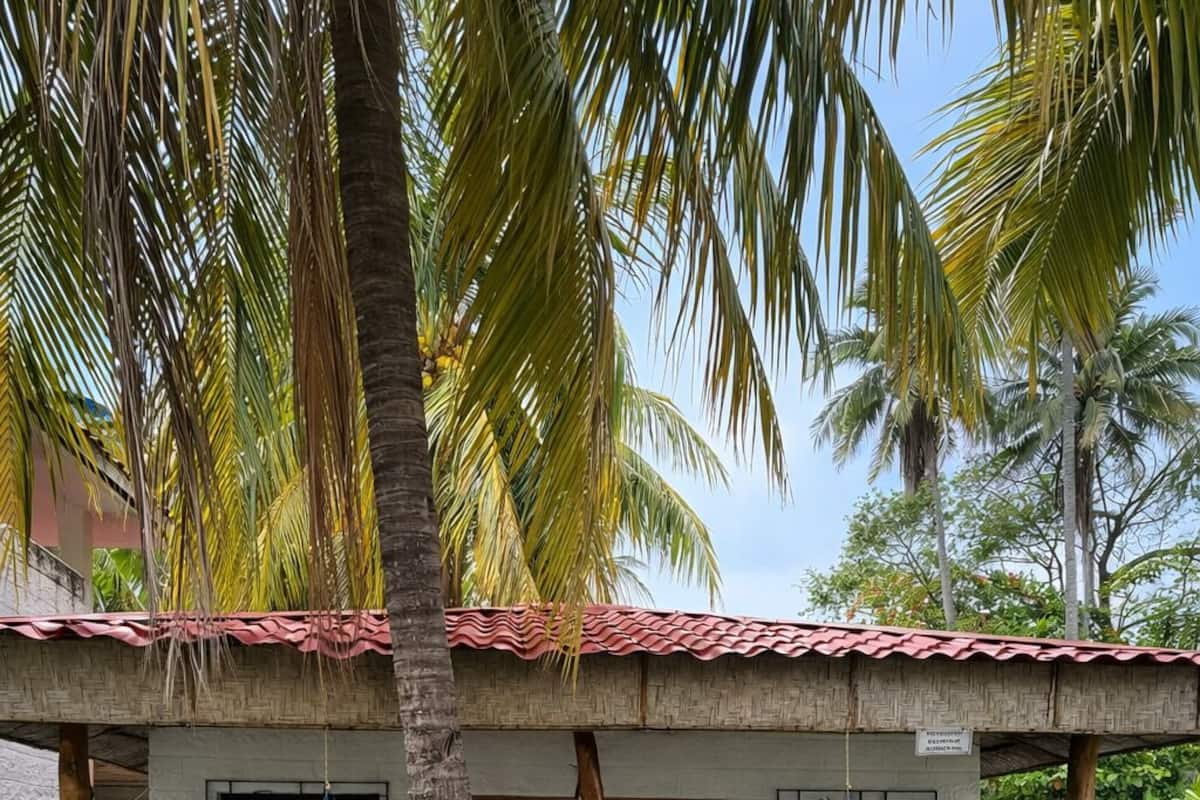 Economy Double Room, 1 Double Bed, Garden View | Free WiFi, bed sheets