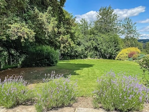 Un jardín bien cuidado con diversos árboles y plantas en flor.