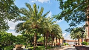 A courtyard with palm trees, a stone pathway, and a building in the background.