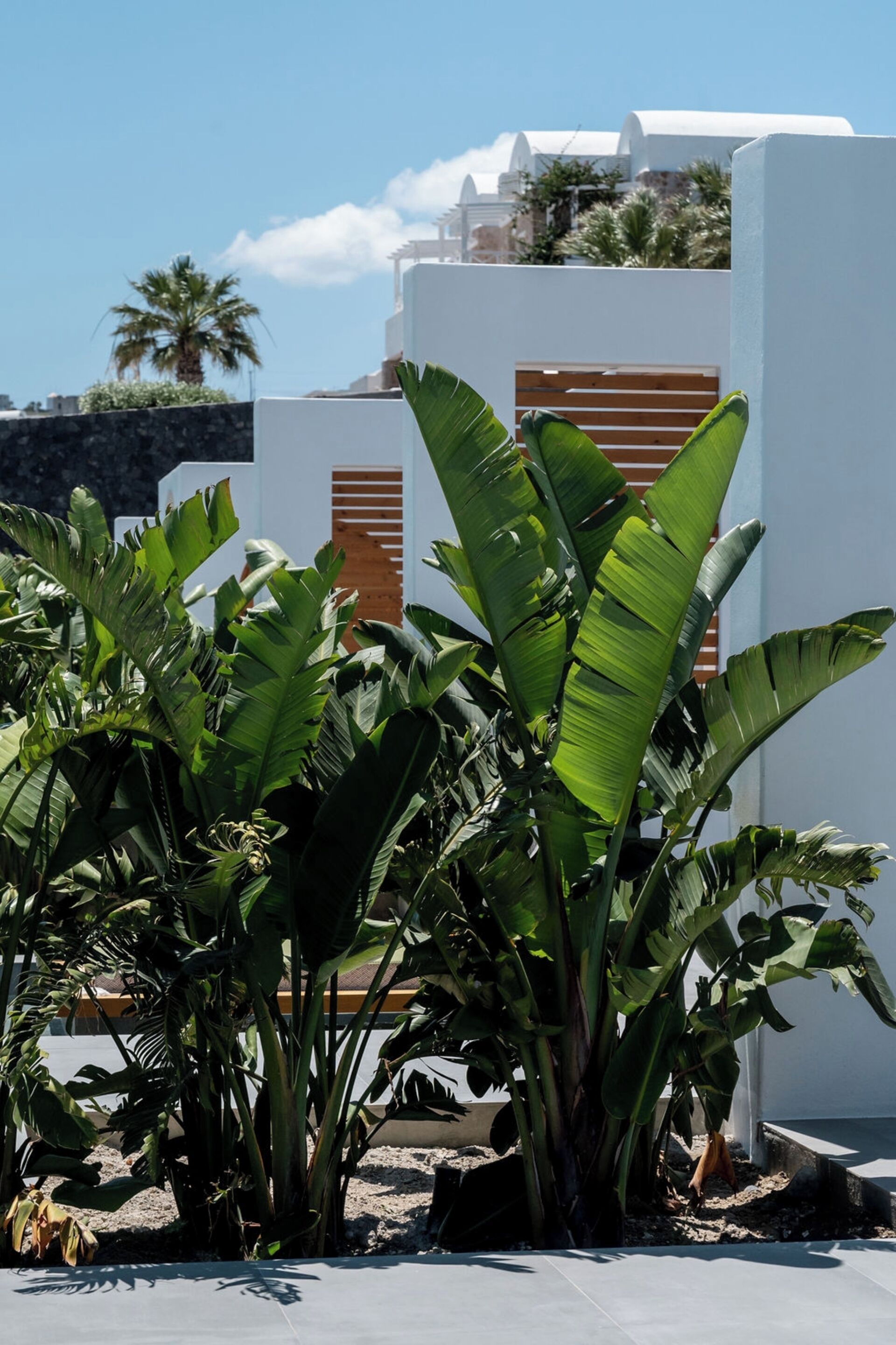 Photo - Numa Santorini