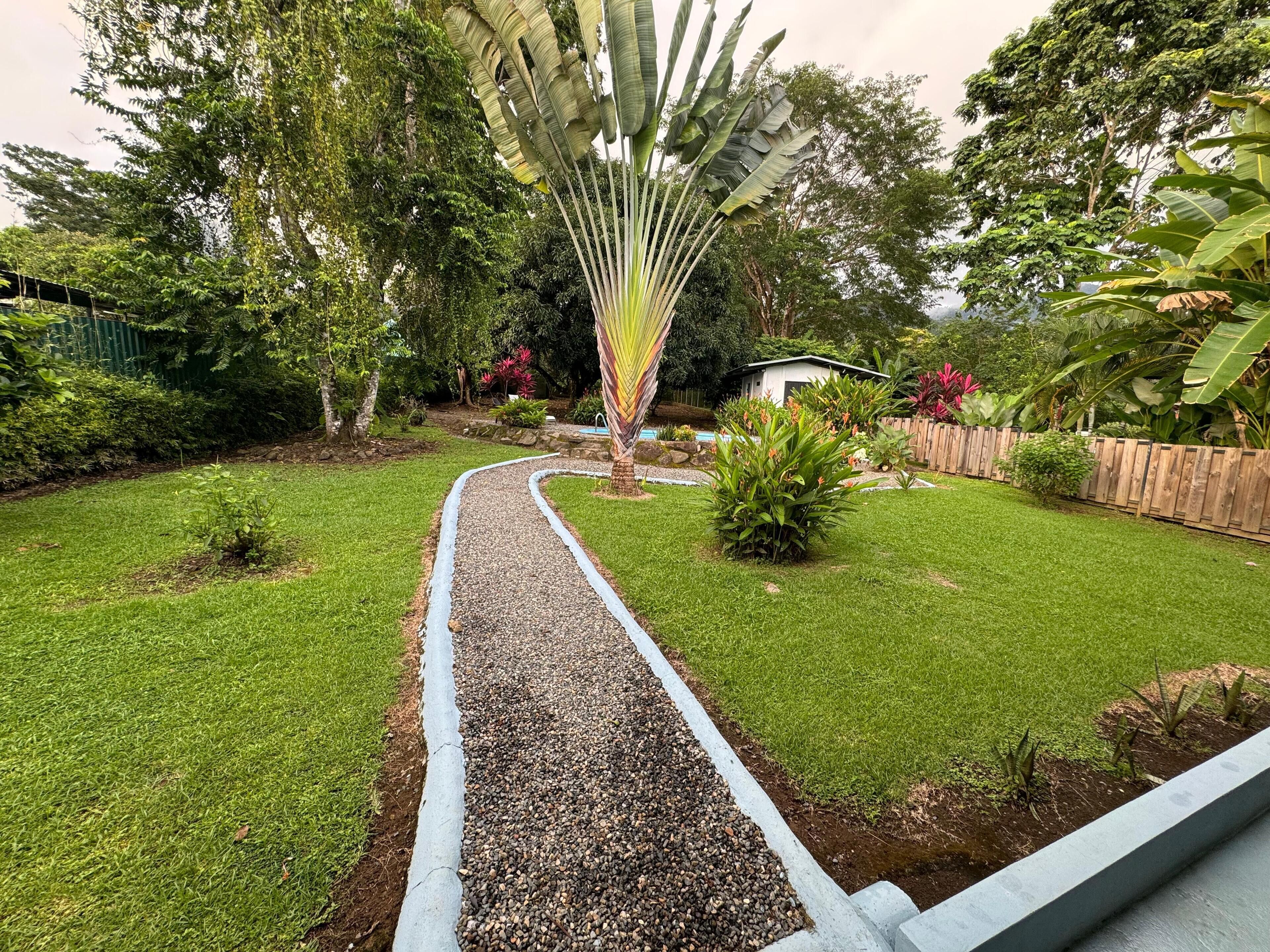 Un sentier de jardin mène à une maison dotée d’une cour arrière clôturée, entourée d’une végétation luxuriante et de diverses plantes.