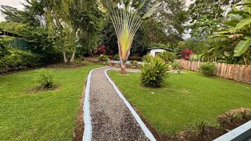 Un sentier de jardin mène à une maison dotée d’une cour arrière clôturée, entourée d’une végétation luxuriante et de diverses plantes.