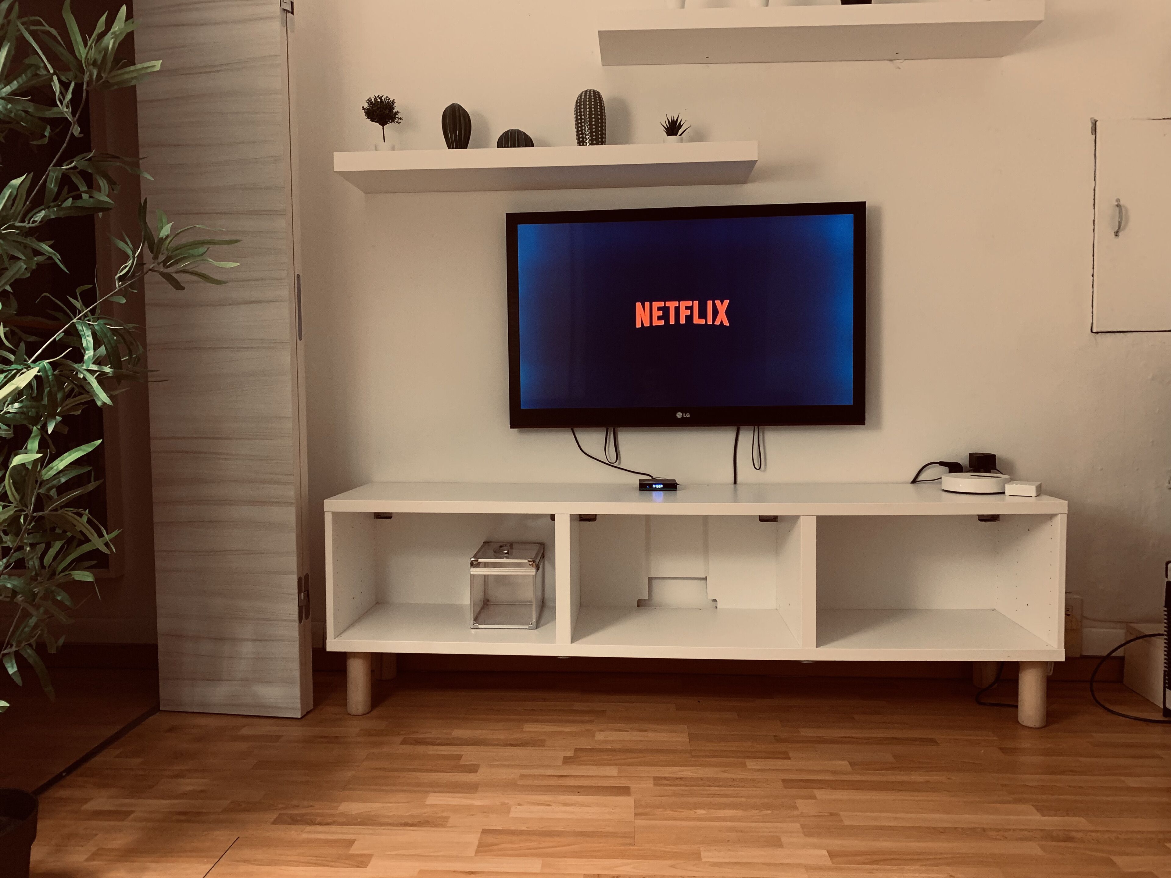Un soggiorno moderno con una TV a schermo piatto che mostra 'NETFLIX', scaffalature bianche sopra e una pianta a sinistra.