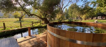 Vintage wood paneled travel trailer on Kernville Ranch: horses, river, hot tub