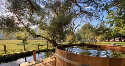 Vintage wood paneled travel trailer on Kernville Ranch: horses, river, hot tub