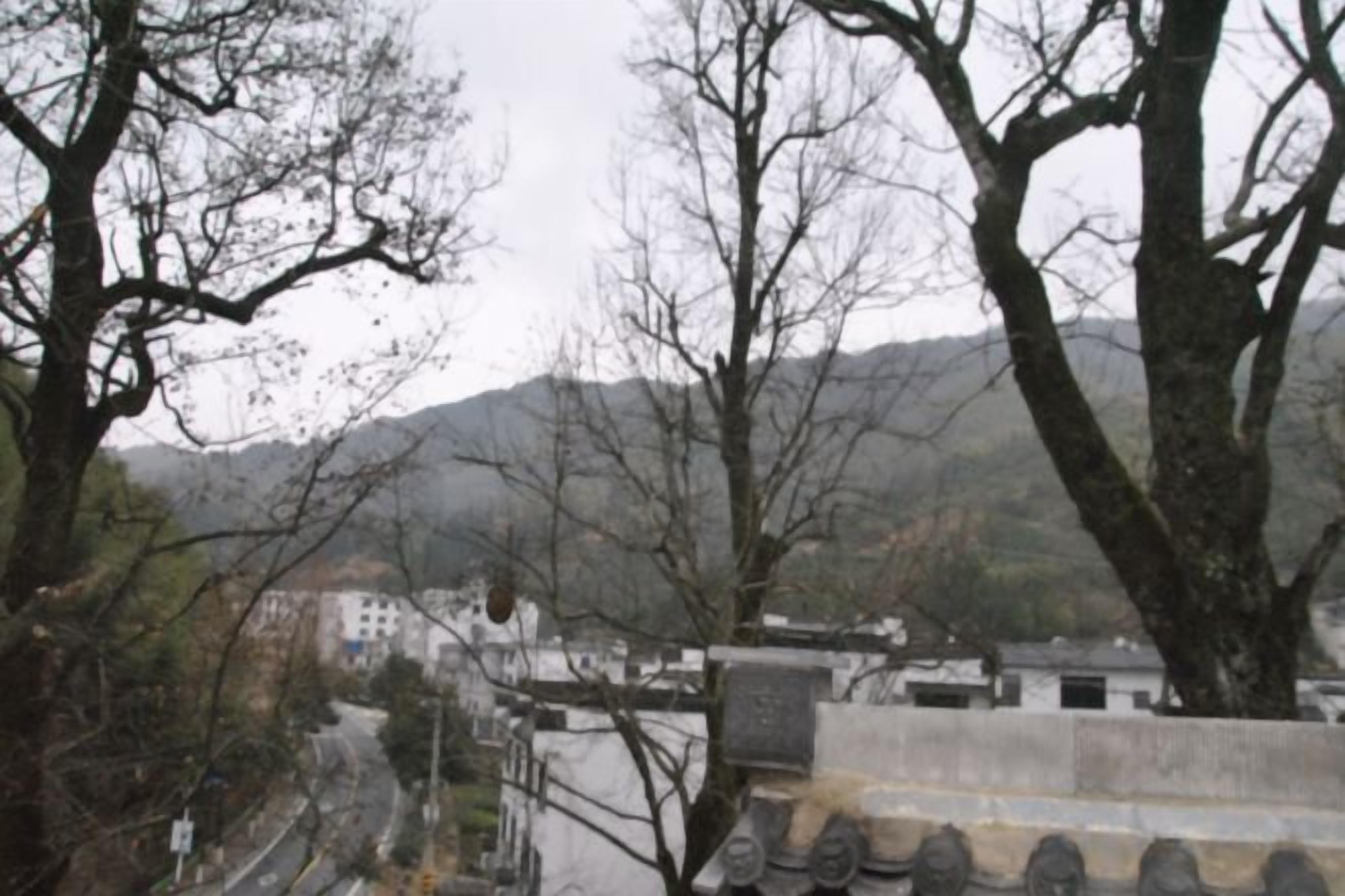 A view of a town with buildings and trees, a road, and a mountain in the background.