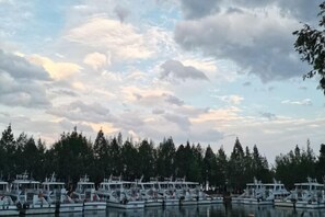 Marina - Hmyway (Dali)