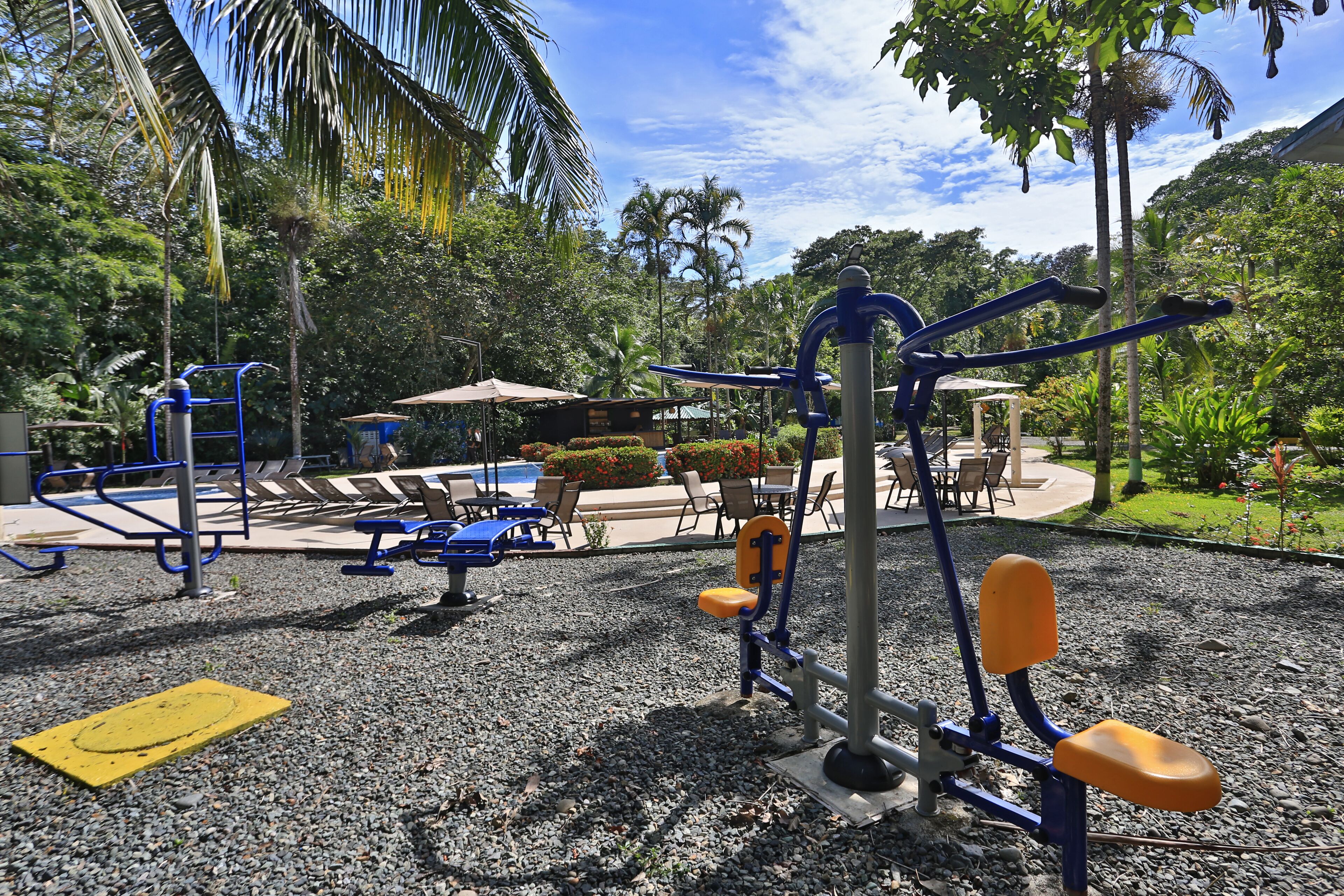 An outdoor exercise area with various fitness equipment, surrounded by palm trees and a pool area.