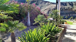 A garden with palm trees, a concrete planter, and a view of a rocky hillside. - 5 stars super luxury villa (TAURO MOGAN)