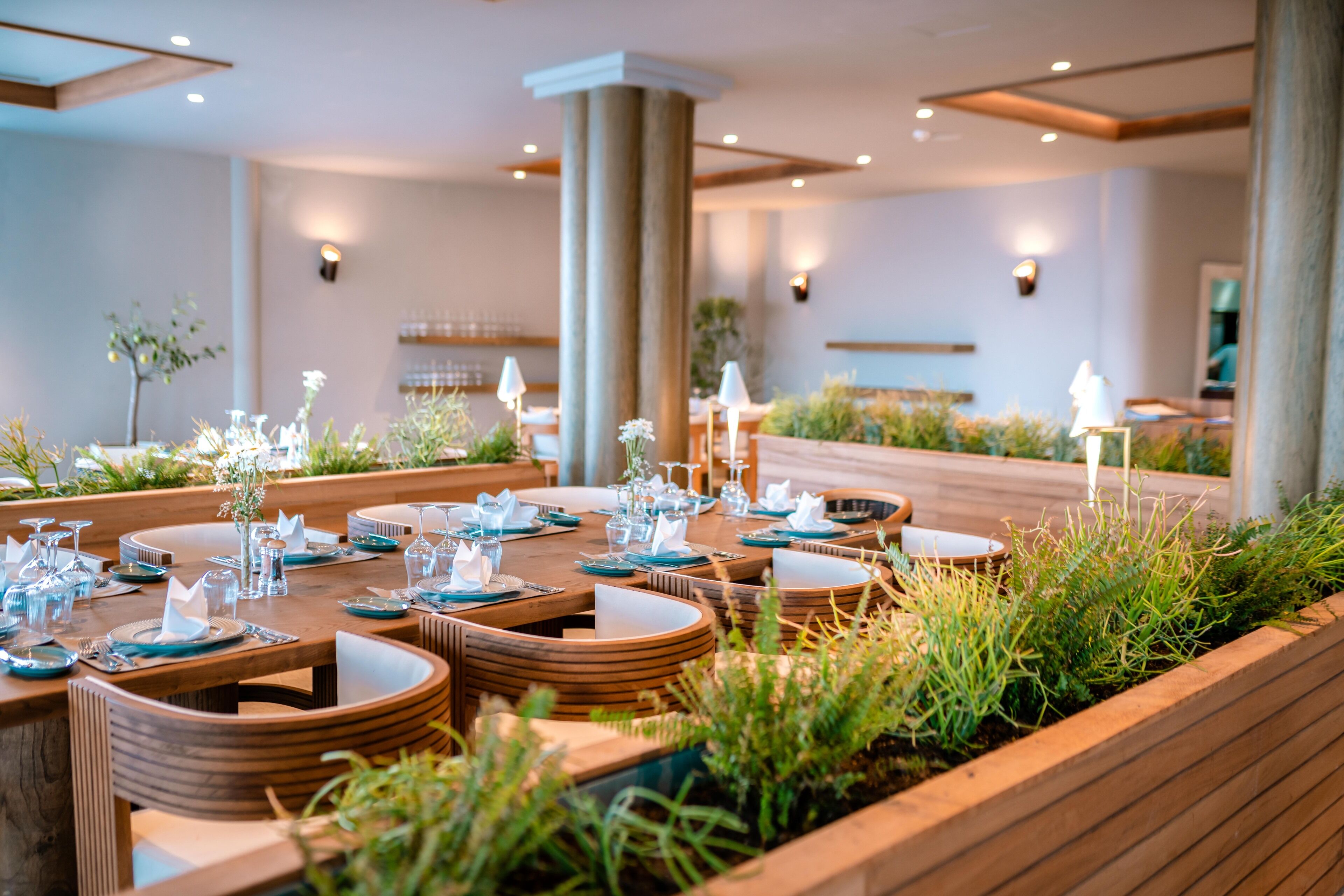 A restaurant with wooden tables and chairs, set with plates, glasses, and cutlery.