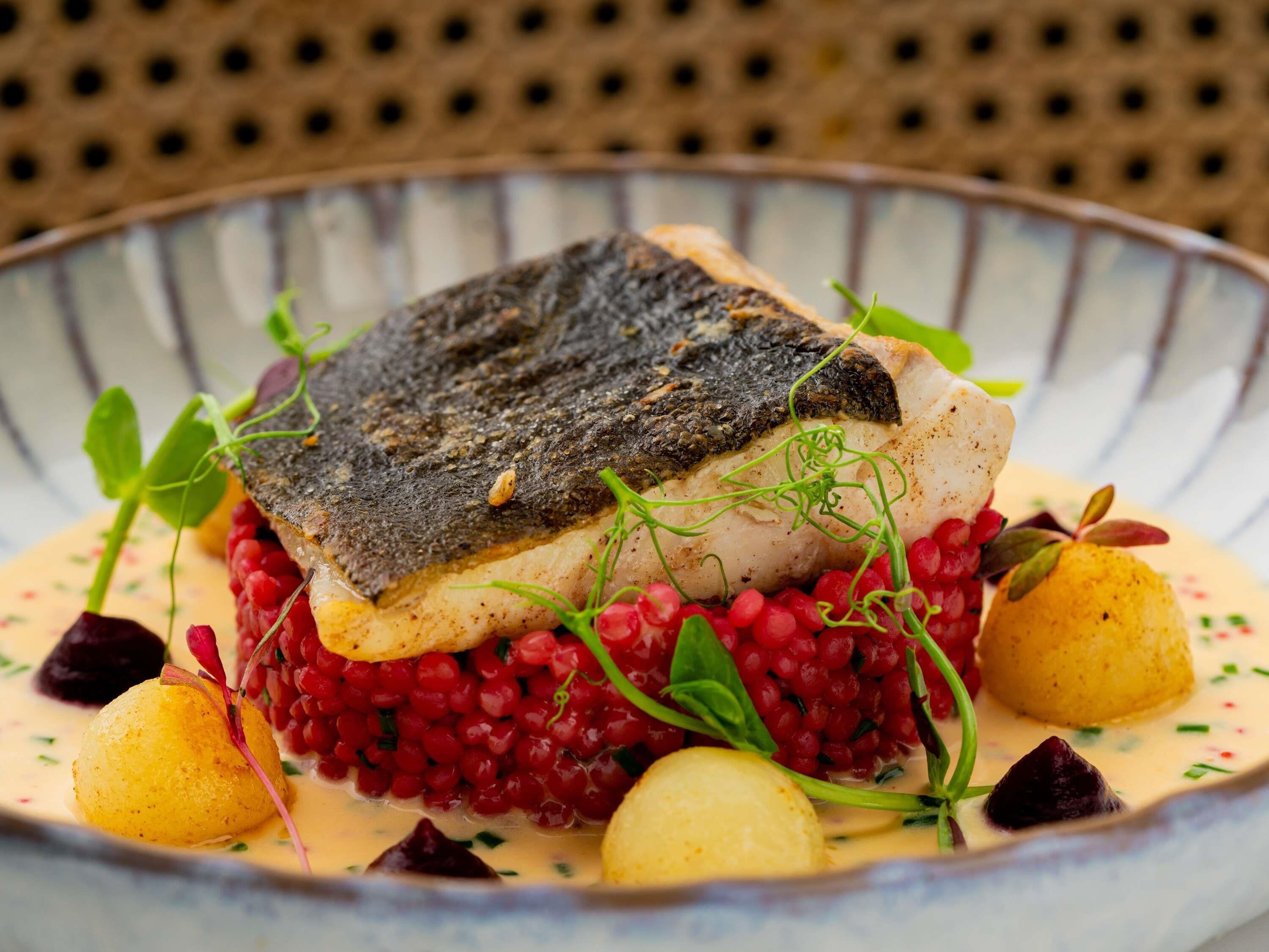 A dish with fish, red berries, and a creamy sauce on a plate.