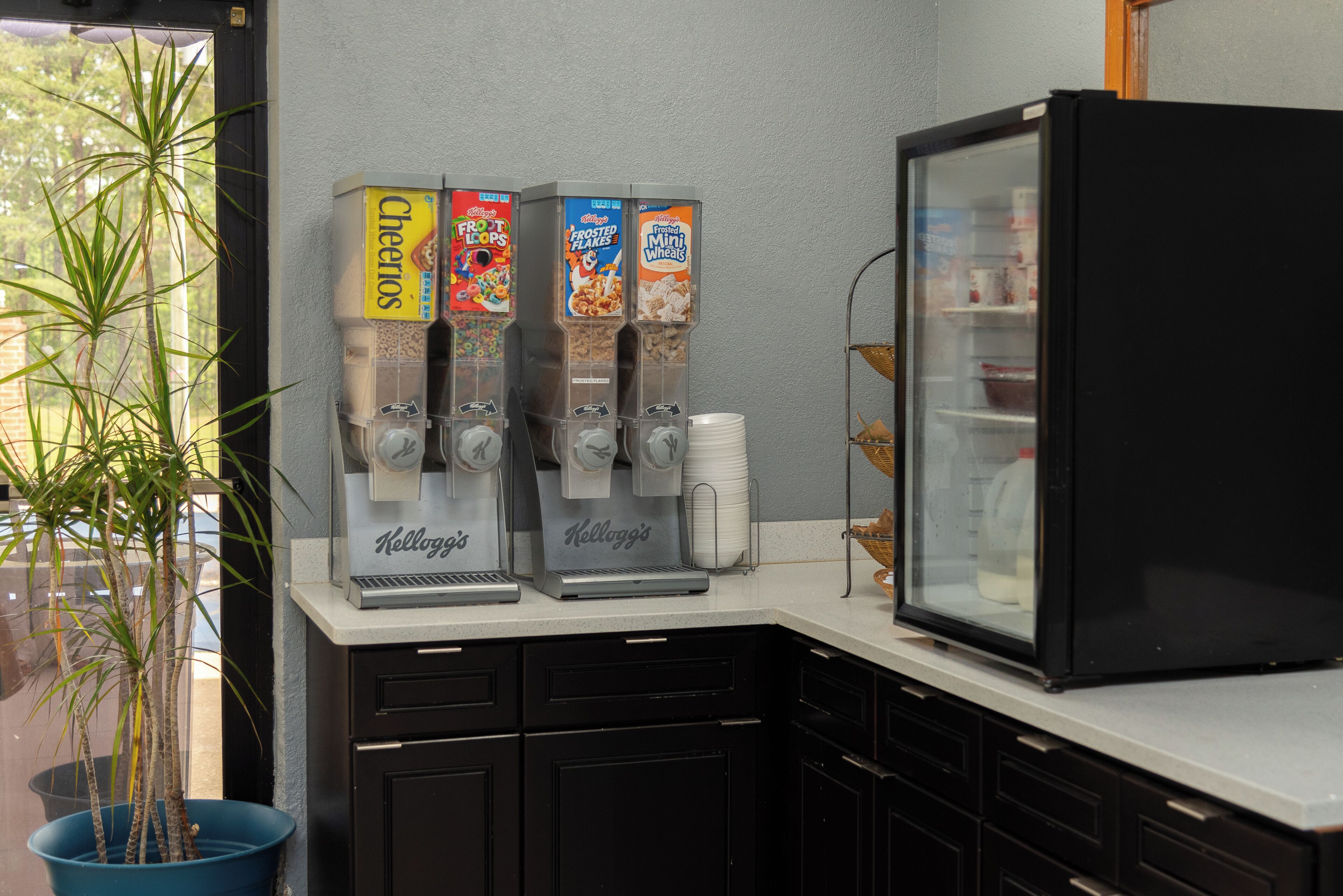 A kitchenette with a coffee machine, a refrigerator, and a potted plant.