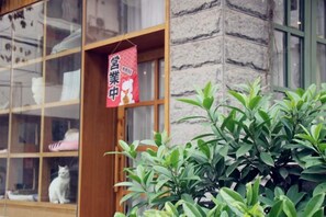 A storefront with a glass display case containing various items, a hanging sign with text, and a potted plant in the foreground. - Xiyu Hostel · Cat Café (Yangshuo)