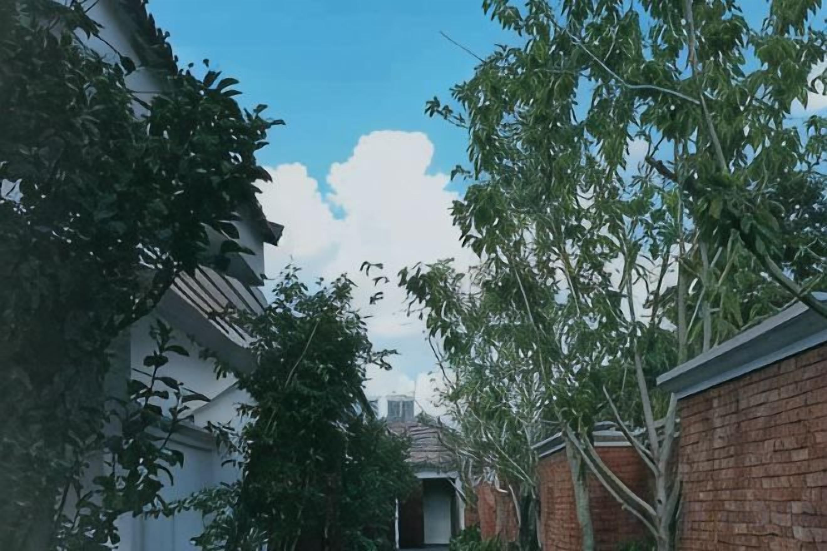 A residential area with a brick house, a white building, and a tree.