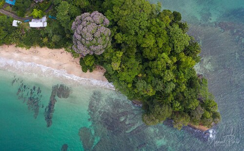 El Refugio - Luxury Hideaway in the Heart of Nature