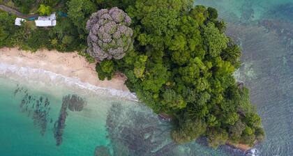 El Refugio - Luxury Hideaway in the Heart of Nature