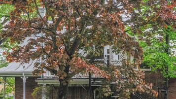 Departamento básico, baño en la habitación (Jacques Cartier) | Vista desde la propiedad
