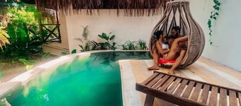 Tropical Bungalow in the jungle