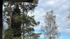 Ein Sitzbereich im Freien mit Korbmöbeln und einem Holztisch, umgeben von Bäumen und einer Wiese.