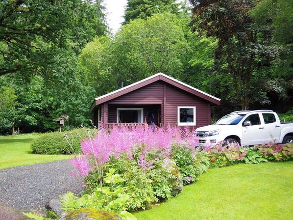 A cabin with a porch, surrounded by lush greenery and a gravel path. - 3 bedroom accommodation in Dunoon (Dunoon)