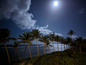 Playa en los alrededores, camastros y toallas de playa 