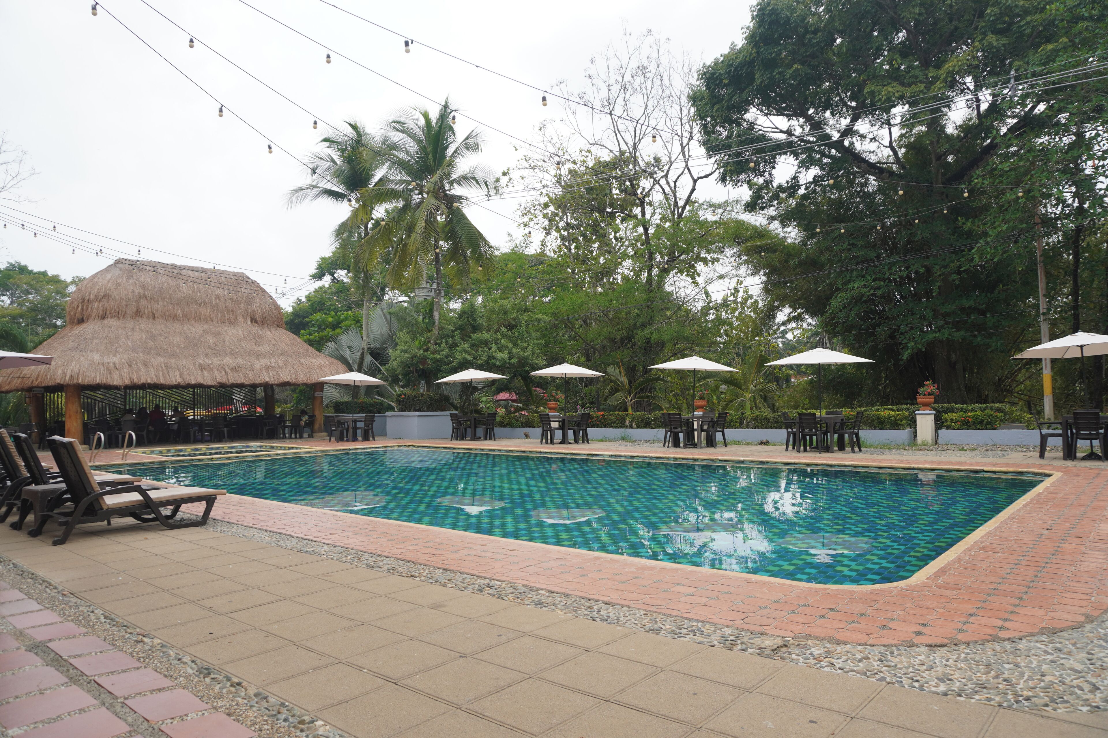 A swimming pool with lounge chairs and umbrellas, surrounded by trees and a thatched-roof structure.