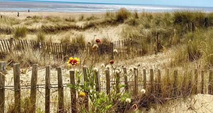 Beach Haven - UK42241