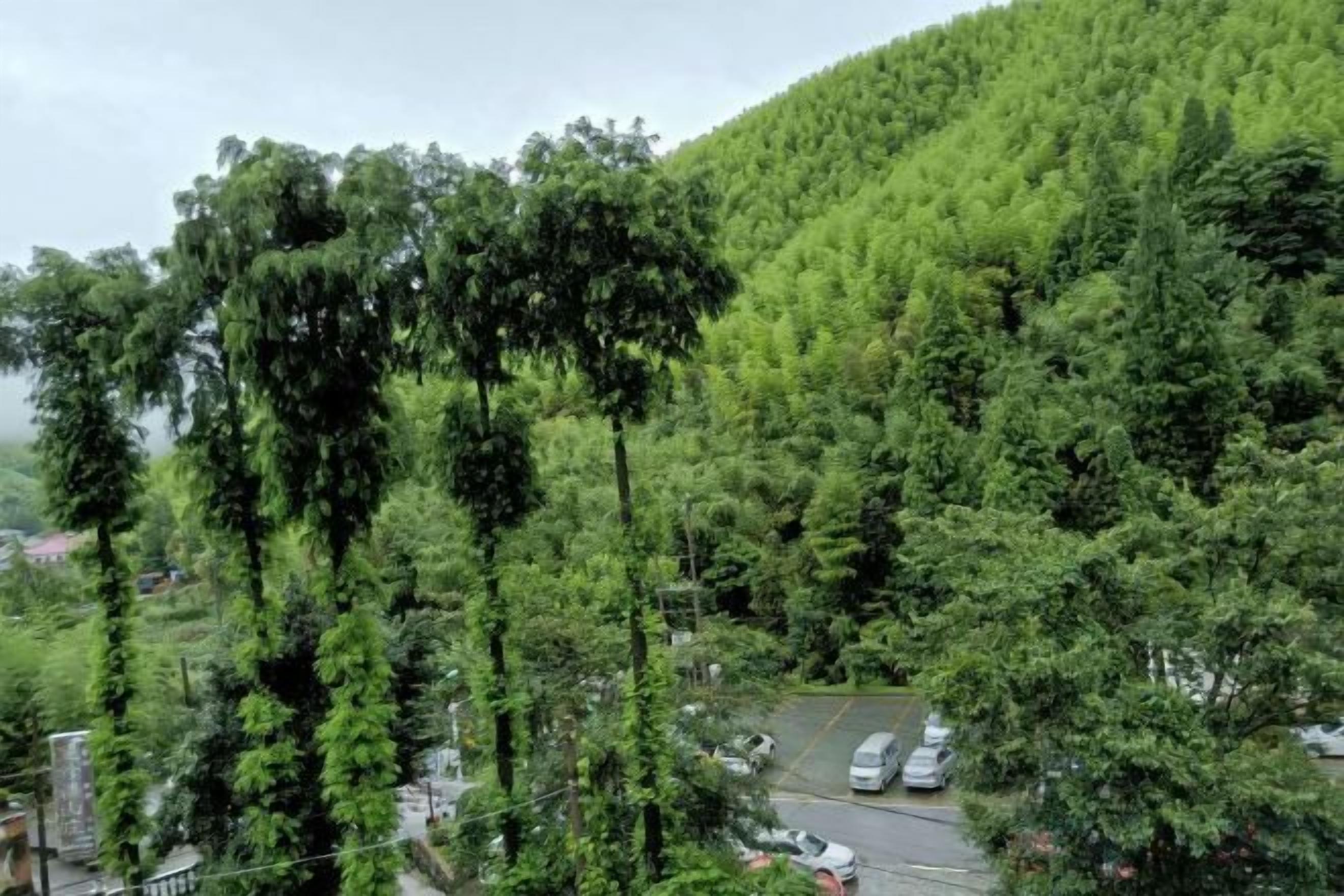 A parking area with cars and a hilly landscape with dense greenery.