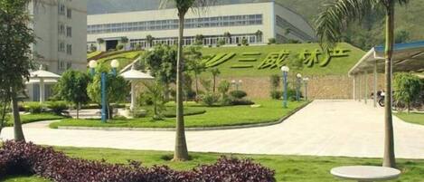 Un edificio con entrada curva, rodeado de césped cuidado, palmeras y cielo despejado.