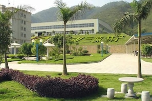 A building with a curved entrance, surrounded by a well-maintained lawn, palm trees, and a clear sky.